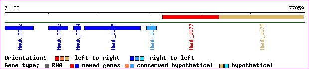gene map