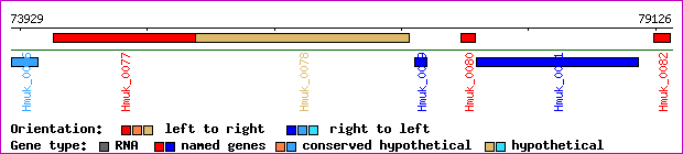 gene map