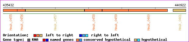 gene map