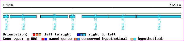 gene map