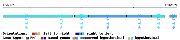 gene map