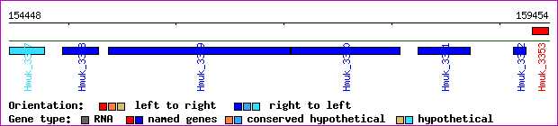 gene map