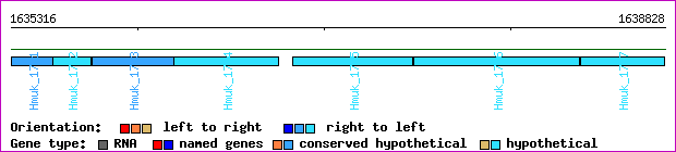 gene map