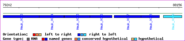 gene map