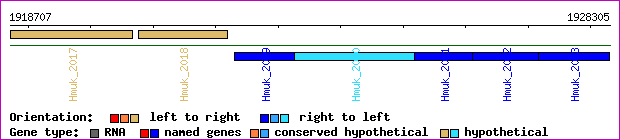 gene map
