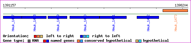 gene map