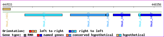 gene map