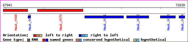 gene map