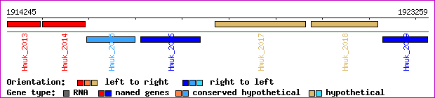 gene map