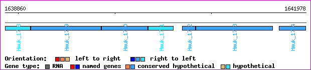 gene map