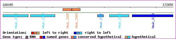 gene map