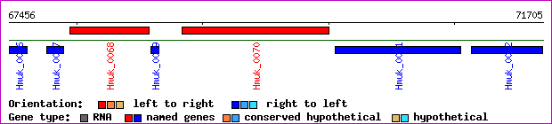 gene map