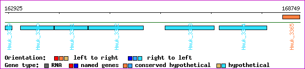gene map
