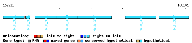 gene map