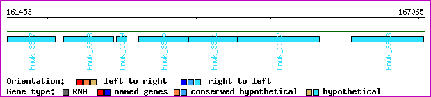 gene map