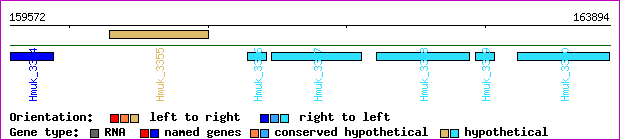 gene map