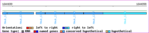 gene map