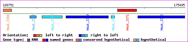 gene map
