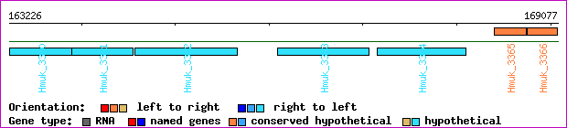gene map