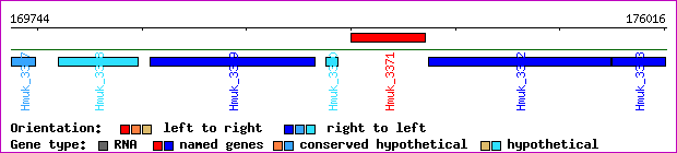 gene map
