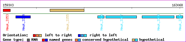 gene map