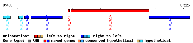 gene map