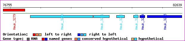 gene map