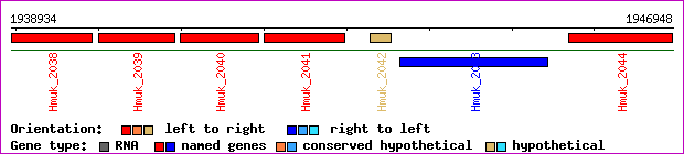 gene map
