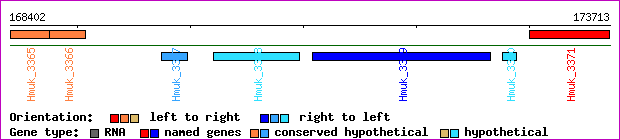 gene map