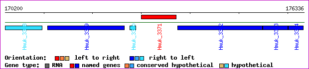 gene map