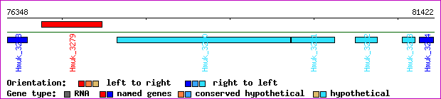 gene map