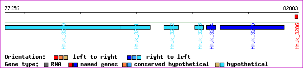 gene map