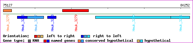 gene map