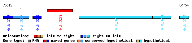 gene map