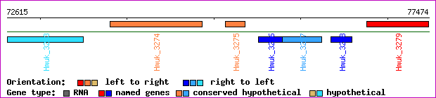 gene map