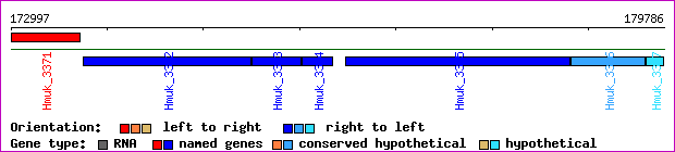 gene map