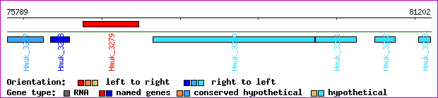 gene map