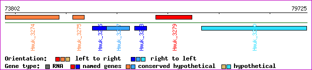 gene map