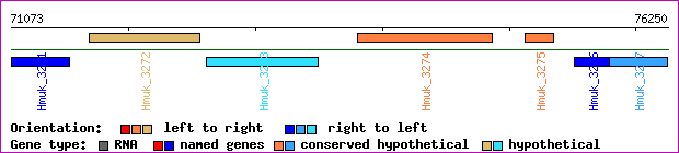 gene map