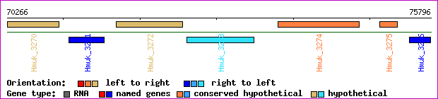 gene map