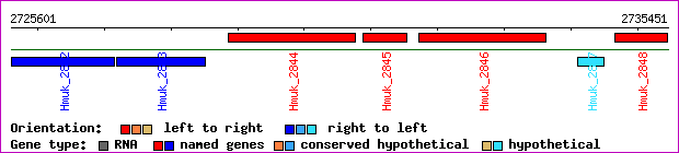 gene map