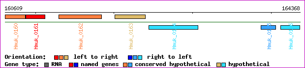 gene map
