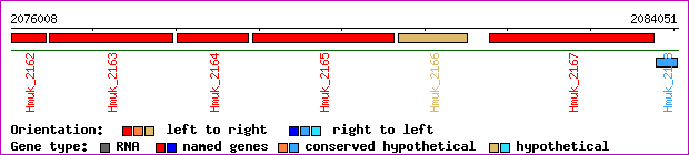 gene map