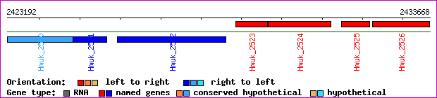 gene map