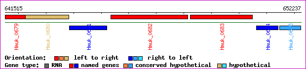 gene map