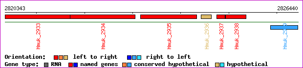 gene map