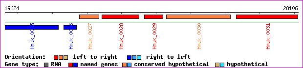 gene map