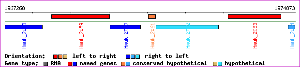 gene map