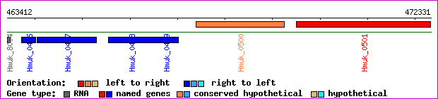 gene map