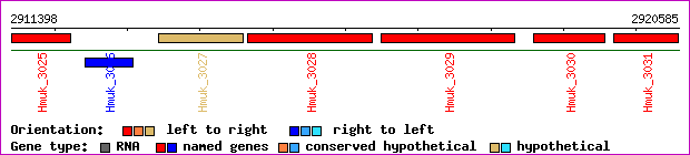 gene map